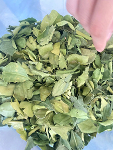 Dried Kaffir <b>Lime</b> Leaves Culinary Herb Ingredient for Frozen Foods Instant Meals and Seasoning - Product Image 4