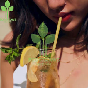 Pajitas comestibles ecológicas de Vietnam Embalaje personalizado Buen precio Suministro a granel Muestra gratis - Product Image 2