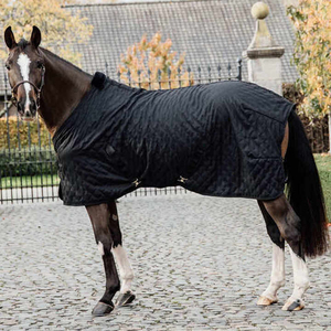 Manta Impermeable para Caballo con Cuello Alto, 3 Correas para las Patas, Doble Cierre Frontal en el Pecho, Gran Solapa para la Cola, Uso Invernal, Ripstop 600D - Product Image 5