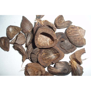 Mejor Precio y Entrega Rápida de Cáscara de Palma Seca para Pellets de Madera de Coco y Residuos Agrícolas al por Mayor - Product Image 1