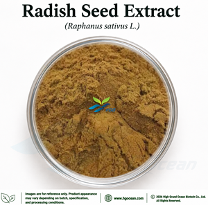 Extracto de Semilla de Rábano (Raphanus sativus L.) de Grado Alimenticio, Suministro Directo de Fábrica HGO, Extracto en Proporciones 4:1 5:1 10:1 20:1 100:1 200:1 - Product Image 1