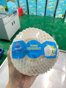 Noix de coco vietnamienne taillée au diamant de qualité supérieure avec eau douce pure prête à servir emballée pour l'exportation, vente en gros et vente au détail - Product Image 5