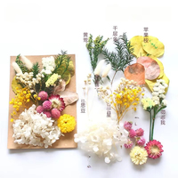 Resin Daun Bunga Kering Asli Campuran DIY Perhiasan Pernikahan Lilin Sabun Pembuatan Vas Seni Kuku Kartu Scrapbook Kerajinan Dekorasi Bunga