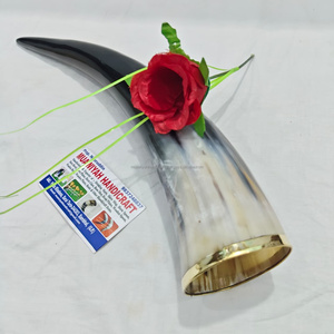 Corne à boire en corne de bœuf de qualité supérieure avec lèvre en laiton, style médiéval, artisanat naturel, écologique, polie, corne à boire viking - Product Image 4