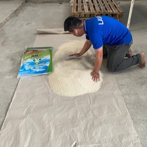 ข้าวคาลโรสพันธุ์ใหม่ สไตล์แคลิฟอร์เนีย พรีเมียม เมล็ดกลาง สีขาว เนื้อเหนียว เหมาะสำหรับทำซูชิ |   คุณเซเลสเต้ - Product Image 6