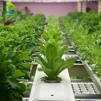 Système hydroponique NFT horizontal commercial en PVC avec canaux de culture à haut rendement pour laitues, herbes aromatiques, légumes-feuilles, garantie 1 an
