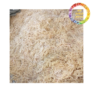 Algues Cottonii en vrac du Vietnam |   Sac d'assaisonnements séchés au soleil |   Variété NORI |   Prêt à l'emploi quotidien - Product Image 4