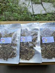 Anchoas Secas Marca 99 Gold Data Joyce, Fabricante Vietnamita de Mariscos para Procesamiento de Alimentos, Grado AA, Bajo Contenido de Sal, Envasado al Vacío, Venta al por Menor - Product Image 1
