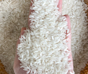 Prix compétitif RIZ BLANC À GRAIN LONG 5% Emballage Cassé Sac Jumbo/BOPP/PAPE/PP Sac - Product Image 1