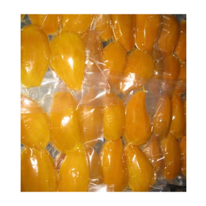 Cubos de Mango Congelados IQF, Nueva Cosecha 2026, Vietnam, Precio Competitivo, Venta al Por Mayor - Product Image 4