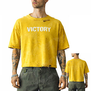 Camiseta Corta Desgastada Personalizada 2026, Estilo Vintage, Color Rosa, para Hombre y Mujer - Product Image 2