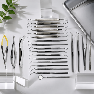 Kit chirurgical professionnel pour implants dentaires avec spatules de remplissage composite, éleveurs périosteaux et instruments dentaires manuels - Product Image 1