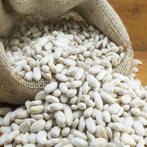 Vente en gros de gros pois blancs frais, riches en sucre et au goût sucré - Product Image 3
