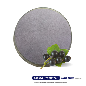 Premium High Quality Blackcurrant Juice Powder Halal OEM B2B <b>Best</b> Supplier Guarantee Top Sale Antioxidant Health Beverage Mix - Product Image 2