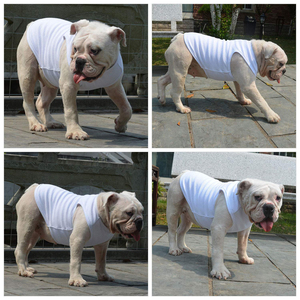 Ropa para Mascotas de Color Sólido, Camiseta Ligera para Perro con Logotipo y Diseño Personalizados, Camiseta Transpirable para Cachorro, Chaleco Suave para Mascotas - Product Image 5