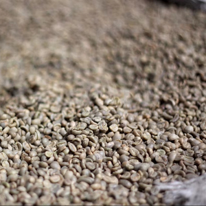 High Quality Vietnamese Specialty Arabica <b>Beans</b> Size 18, Wholesale Export, with 0.1% Broken & Black, Moisture 12.5% Max, Crop Ne - Product Image 1