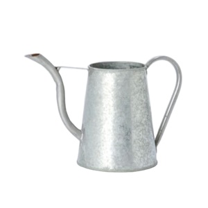 Arrosoir en acier galvanisé de style vintage, en métal, avec long bec col de cygne et poignée ergonomique pour l'intérieur et la maison - Product Image 1