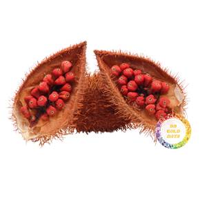 PRECIO ECONÓMICO - Semillas de Annatto Premium Secas Naturalmente en Forma Granular para Uso Culinario e Industrial, Especias y Hierbas Crudas para Procesamiento - Product Image 2