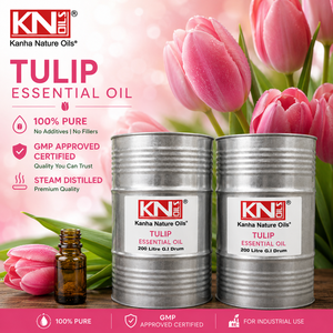 Aceite Esencial de Tulipán 100% Puro, Venta al por Mayor, Fabricante, Tulipa Premium, Mayorista, Certificado Orgánico, Exportador a Granel, Suministro de Fábrica - Product Image 3