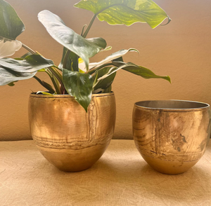 Pot de fleurs en laiton classique luxueux pour la décoration de la maison et les fournitures de jardin, design classique de forme ronde pour la décoration intérieure et extérieure - Product Image 6