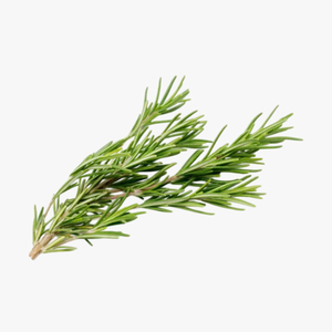 Romarin de qualité supérieure, vente en gros, approvisionnement en vrac, qualité alimentaire, prêt à expédier, fournisseur d'exportation de qualité supérieure - Product Image 2