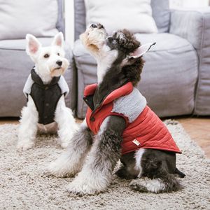 Chaqueta para Perro Furrost Bite de Piel y Lana, Ropa Moderna para Mascotas - Product Image 3