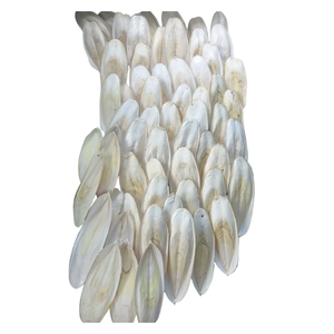BLUE LOTUS Coupe-becs en os de seiche pur pour oiseaux et reptiles, calcium naturel durable, 1,0 kg/pièce - Product Image 1