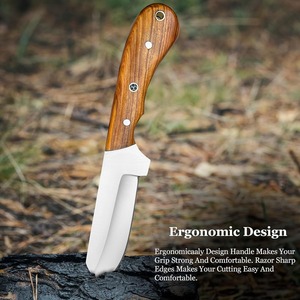 Cuchillo Bull Cutter de 8 Pulgadas con Hoja Recta de Acero Inoxidable, Mango de Madera, Punta Caída, para Camping, Caza, Pesca y Supervivencia al Aire Libre - Product Image 3