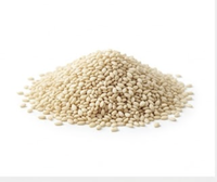 Graines de sésame blanches décortiquées, qualité export naturelle, approvisionnement en vrac, qualité alimentaire, Gujarat, Inde