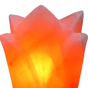 Lámpara de Sal Rosa del Himalaya Hecha a Mano con Forma de Flor Natural, Decoración para el Hogar, Artesanía de Pakistán en Venta - Product Image 6