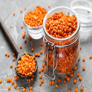 Lentejas Rojas Orgánicas en Polvo, Proteína Vegetal, Grado Alimenticio, 100% Pura, Empaque Personalizado, Se Acepta OEM para Procesamiento de Alimentos B2B - Product Image 4
