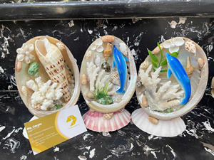 Colorful Natural Handmade Seashell Decoration Set <b>Abalone</b> Conch <b>Shell</b> Hanging Boat Aquarium Christmas - Caryln - Product Image 5