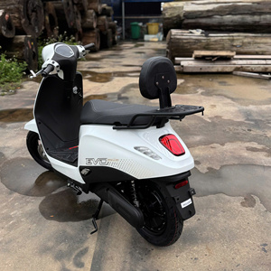 Porte-bagages arrière M-Biker VinFast Evo Grand avec dossier passager, accessoires pour moto - Product Image 3