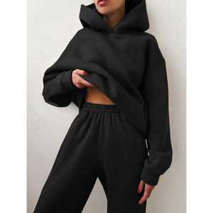 Ensemble de survêtement pour femme, bleu clair, à capuche, manches longues, couleur unie, vêtements décontractés, matière polaire, coupe ample, deux pièces - Product Image 3