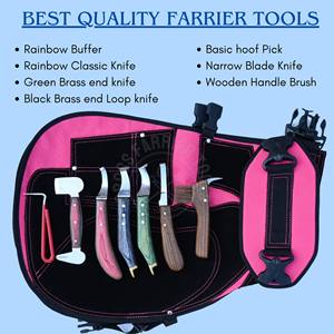 Kit complet d'outils de soin des sabots de cheval avec tablier de sécurité en cuir, couteau à sabots à manche arc-en-ciel, boucle d'extrémité en laiton, brosse de polissage - Product Image 2