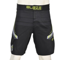 Blaze personnalisé hommes vêtements de combat Shorts Durable écologique MMA BJJ léger grappling No Gi formation maille Shorts personnalisable