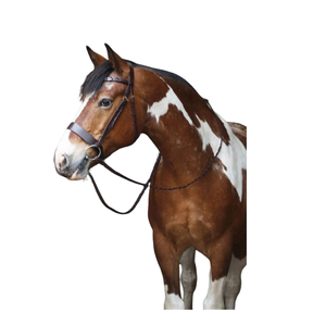 Brida para Caballo Ajustable de Cuero Suave y Cómodo, Acolchada, Personalizable, de Alta Calidad, Equipo Ecuestre - Product Image 1