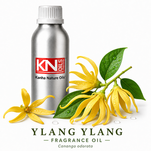 Aceite Aromático de Ylang Ylang (Cananga odorata) Grado Cosmético para Perfumes, Velas, Jabones y Difusores - Fabricante y Exportador al por Mayor - Product Image 1