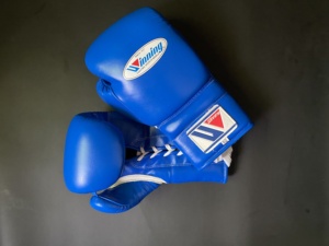 Conjunto de Boxeo Azul Personalizable de Alta Calidad, Cuero Vacuno Genuino, Guantes de Artes Marciales con Dedos Completos y Correa de Muñeca Ajustable - Product Image 2
