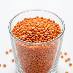 Nouvelle récolte de lentilles rouges biologiques AD séchées, origine Brésil, polies, 25 kg en vrac, durée de conservation de 2 ans - Product Image 3