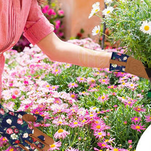 Gants de jardinage confortables pour l'entretien des plantes en extérieur et les tâches de maintenance de la cour, gants de jardinage respirants - Product Image 5