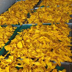 Rodajas de frutas tropicales masticables de Mango Seco de Vietnam Proveedor confiable para empresas de exportación - Product Image 2