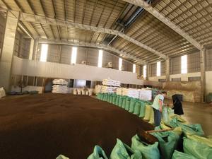 Granos de Pimienta Negra Vietnamita, Pimienta Negra de Poivre, Pepe ASTA FAQ [Sarah] - Product Image 6