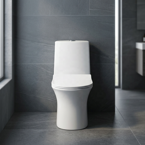 WC monobloc en céramique de haute qualité avec chasse d'eau automatique et réservoir encastré pour projets de salles de bain modernes - Product Image 5
