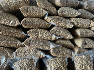 Sacha Inchi Crudo con Cáscara de Alta Calidad, Nueces de Sachi, Cacahuete Inca a Precio Competitivo/ Lima - Product Image 5