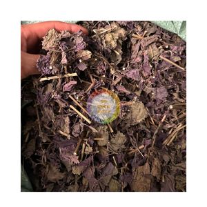 ASIA PERILLA LEAF PURPLE NATURAL <b>TEA</b> LEAF WHOLESALE BULK 1KG 2KG PACKAGING LOOSE <b>TEA</b> CHOPPED AND SLICED CUT READY TO SHIP - Product Image 1