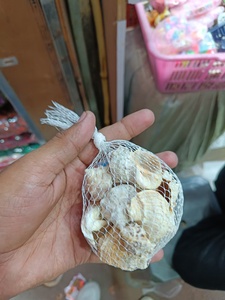 Premium Natural Sea Shells Uniform Shell Pack for DIY Crafts Aquarium Decoration Home Styling - Product Image 6