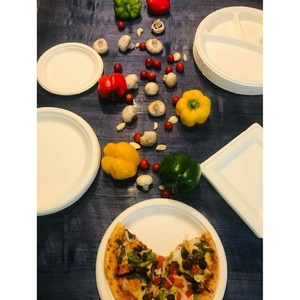 Nouvelles assiettes jetables écologiques pour fêtes, 6 pouces, rondes, en bagasse de canne à sucre, compatibles micro-ondes, pour la restauration, durables - Product Image 1