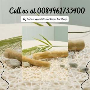 Hueso de Madera de Café Natural para Perros y Cachorros, Juguete Duradero y Ecológico para Limpieza Dental - Product Image 4