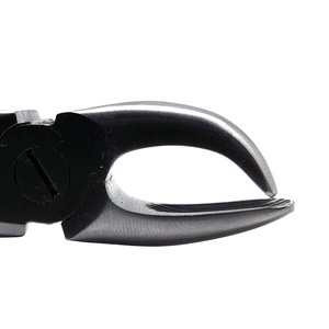 Forceps d'extraction dentaire en acier inoxydable à motif anglais, extracteur de dents, instrument dentaire professionnel - Product Image 4